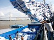 Bộ Công Thương kiến nghị Kl993 ưu đãi thưởng hấp dẫn giao Bộ GTVT làm việc với Tổng Công ty Tân Cảng Sài Gòn sớm mở lại tất cả các máng đóng rút gạo trong thời gian sớm nhất nhằm giảm bớt tình trạng ùn tắc container xuất khẩu gạo.