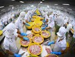 Kim ngạch xuất khẩu thủy sản của Việt Nam những năm gần đây dao động từ 8,5 đến gần 9 tỷ USD/năm.