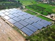Các dự án điện mặt trời mái nhà nở rộ trong thời gian qua, đi kèm không ít bất cập ảnh: nhiệt băng
