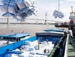 Giá gạo xuất khẩu của Việt Nam đã xuống thấp do ảnh hưởng của dịch bệnh kéo dài, khó khăn trong khâu thu hoạch, vận chuyển và cước phí vân tải tăng vọt...