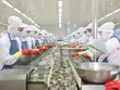 Thuỷ sản Minh Phú lên kế hoạch lãi lớn trong năm 2025.