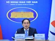 Bộ trưởng Ngoại giao Bùi Thanh Sơn tham dự Hội nghị Bộ trưởng Hợp tác Mekong - Hàn Quốc lần thứ 11 (Ảnh: BNG)