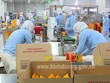 Người lao động làm việc tại nhà máy Orion, Bình Dương (Ảnh: Cổng thông tin tỉnh Bình Dương).