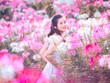 Có một mùa thu gây thương nhớ trên những triền hoa Fansipan