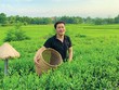 Lê Sơn Hải, chủ thương hiệu An Hải Trà.