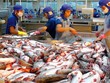 Cá tra có tỷ lệ sử dụng C/O EUR.1 cao nhất, chiếm 87% kim ngạch xuất khẩu cá tra sang EU27, trị giá 50,3 triệu USD.
