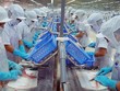  VASEP đề xuất tăng khung giờ làm thêm tối đa trong 1 năm từ 300 giờ lên 400 giờ không phụ thuộc vào ngành nghề Kl994 nhà cái bóng đá world cup