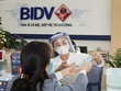 Đầu năm nay, BIDV là Link Vào Nhà Cái KL99 COM Tặng +199k dẫn đầu thị trường về vốn điều lệ với hơn 40.000 tỷ đồng