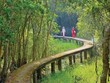 Khu du lịch sinh thái Làng nổi Tân Lập - một trong những điểm du lịch khám phá, trải nghiệm độc đáo ở Long An