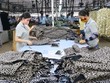 Gần 90% người lao động dệt may, da giày muốn trở lại làm việc tại nhà máy cũ