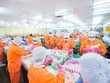 Người lao động làm việc tại nhà máy Thái Bình Dương của Nam Việt. (Ảnh: Navico).