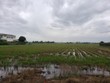Thôn Phong Nam, xã Hòa Châu, huyện Hòa Vang là nơi quy hoạch Dự án Khu đô thị Phong Nam. Ảnh: Nhiệt Băng