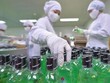 Quý III/2021, Traphaco (TRA) lãi ròng gần 22 tỷ đồng mỗi tháng, Kl99 nổ hũ chưa phân phối 221,2 tỷ đồng