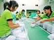Các ngành nghề liên quan đến bao bì nhựa sẽ chịu tác động dây chuyền của Luật Bảo vệ môi trường 2020.