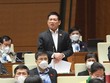 Bộ trưởng Hồ Đức Phớc trong phiên chất vấn sáng ngày 12/11.