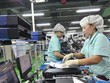 Xuất khẩu hàng hóa của nước ta trong năm 2021 sẽ vượt mốc 300 tỷ USD, tăng mạnh so với 282,6 tỷ USD của năm 2020.