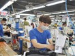 TNG phát hành 3 triệu Kl99kl Hoàn Trả Vô Tận 4 "không" để trả tiền lương, nguyên phụ liệu