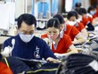 Việc ban hành một luật sửa 10 luật nhằm hoàn thiện thể chế, kịp thời tháo gỡ vướng mắc cho hoạt động Kl994 nhà cái bóng đá world cup, Kl992 VIP Trang Chủ 2026, góp phần thực hiện mục tiêu kép.