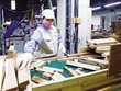 Chỉ số Kl994 nhà cái bóng đá world cup công nghiệp tháng 11/2021 ước tăng 5,5% so với tháng trước đó. Ảnh: Đ.T
