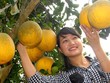 Phát triển sản phẩm OCOP gắn với xây dựng nông thôn mới, đặc biệt là phát triển mô hình du lịch cộng đồng ở nông thôn.