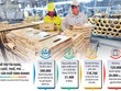 Vấn đề đặt ra hiện nay là làm thế nào để bắt kịp nhịp xu thế mới, bởi nhiều Kl991.com World Cup 2026 Chính Thức Việt Nam dù đã được hỗ trợ, nhưng vẫn khá vất vả tìm cửa phục hồi. Đồ họa: Đan Nguyễn