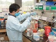 Viện nghiên cứu Walter Reed đang thử nghiệm vaccine thế hệ mới chống virus Corona gây COVID-19 và SARS. Ảnh: Walter Reed