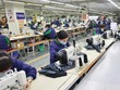 TNG: Tháng 1, doanh thu tăng 62%