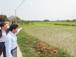 “Mê lực” đất nền