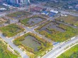 Cử tri lo lắng về tình trạng sốt đất ảo, thông thầu, bắt tay ngầm trong các cuộc đấu giá đất (ảnh minh họa) 