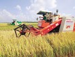 Làm nên kỳ tích xuất siêu và lập đỉnh xuất khẩu trong năm 2021, nông nghiệp tiếp tục là điểm tựa vững chắc của nền Kl992 cổng game cá cược năm 2022