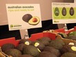 Bơ đông lạnh của Việt Nam được xuất khẩu đi Australia, có giá bán 120.000 đồng/kg