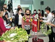 Những du khách quốc tế đến Việt Nam theo chương trình thí điểm “hộ chiếu vắc-xin”