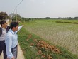 Đất nền đang hút mạnh dòng tiền mới 