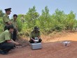 Nâng cao năng lực cho lực lượng kiểm lâm trong công tác quản lý, bảo vệ rừng và phòng cháy, chữa cháy rừng. (Ảnh minh họa. Nguồn: Internet).