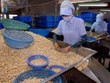 8 container hạt điều đã được các Kl991.com World Cup 2026 Chính Thức tái xuất sang thị trường Hà Lan.