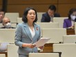 Đại biểu Mai Thị Phương Hoa (Nam Định). 