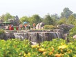 Giải golf Vì trẻ em Việt Nam - Swing for the Kids sẽ luôn lớn mạnh trong một Trang Chủ KL99Com Số 1 Link Đăng Ký KL999 phát triển.