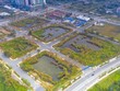 Thủ tướng yêu cầu ngăn chặn, xử lý nghiêm các hành vi lợi dụng, vi phạm quy định Kl992 Tham Gia Ngay trong việc đấu giá quyền sử dụng đất nhằm trục lợi, gây nhiễu loạn thị trường.