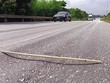 Hằn lún vệt bánh xe tại tuyến tránh TP. Thanh Hóa