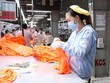 Công nhân làm việc trong chuyền may tại nhà máy của Thành Công. (Ảnh: TCM).
