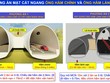 Phương án mặt cắt ngang ống hầm chính và ống hầm lánh nạn hầm Hoàng Liên.