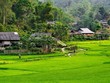 Vân Hồ là địa điểm du lịch được du khách yêu thích.