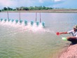 Ngành nuôi trồng, chế biến thủy Kl994 nhà cái bóng đá world cup khẩu của Cà Mau đang phục hồi và tăng trưởng mạnh
