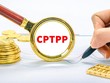 Hàn Quốc quyết định thời điểm nộp đơn gia nhập CPTPP