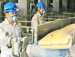 Nguồn cung xi măng tại chỗ tăng cao trong khi nhu cầu tại Nghệ An, Hà Tĩnh tăng thấp, Vicem Hoàng Mai dự kiến doanh thu năm 2022 giảm khoảng 28 tỷ đồng so với 2021.