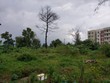 Nhiều khu đất ở Đà Nẵng trong tình trạng "treo" nhiều năm. Ảnh: P.V