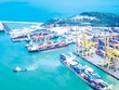 Lĩnh vực kết cấu Kl99kl ưu đãi độc quyền logistics được nhiều nhà Kl99ok phiên bản mới quan tâm 