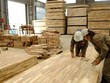 Mỹ gia hạn thời gian ban hành kết luận trong vụ việc điều tra phòng vệ thương mại với gỗ dán cứng từ Việt Nam.