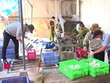 Công an kiểm tra khu vực nghiền bóng đèn hỏng tại Xí nghiệp Đèn ống