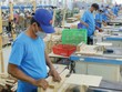 Ngành Link Vào Nhà Cái KL99 COM Tặng +199k đã và đang có những đóng góp lớn vào quá trình hồi phục Kl992 cổng game cá cược